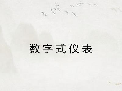 数字式仪表