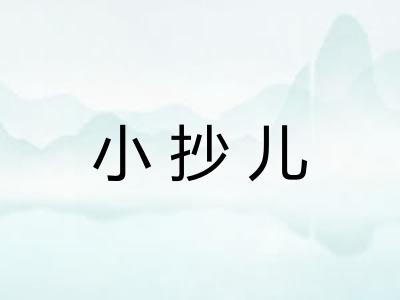 小抄儿