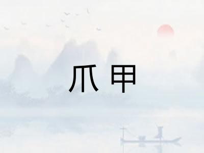 爪甲