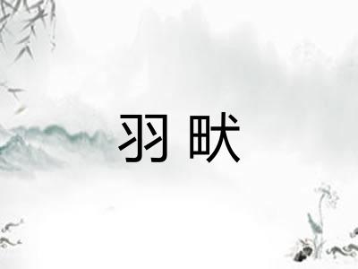 羽畎