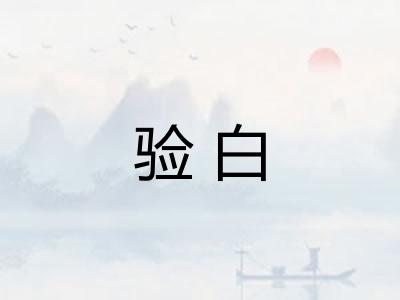 验白