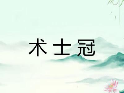 术士冠