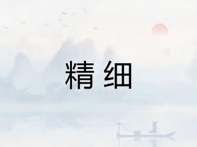 精细