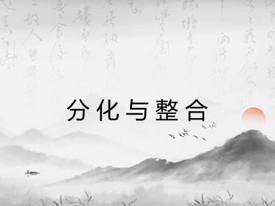 分化与整合