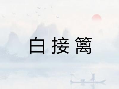 白接篱