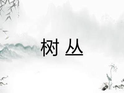 树丛