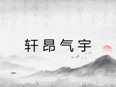 轩昂气宇