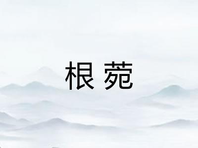 根菀