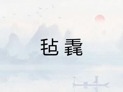 毡毳