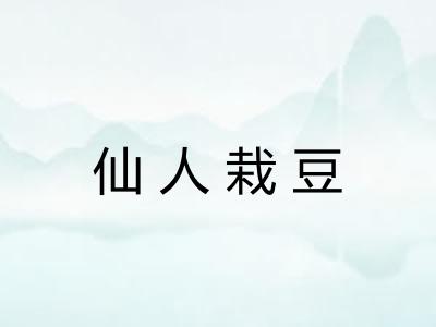 仙人栽豆