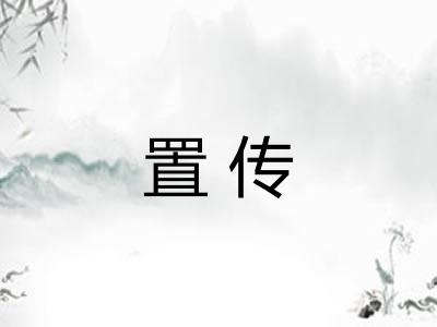 置传