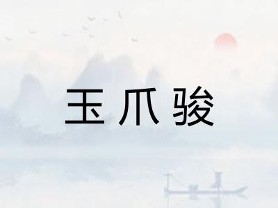 玉爪骏