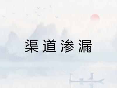 渠道渗漏