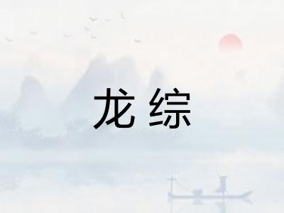 龙综