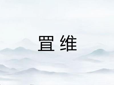 罝维