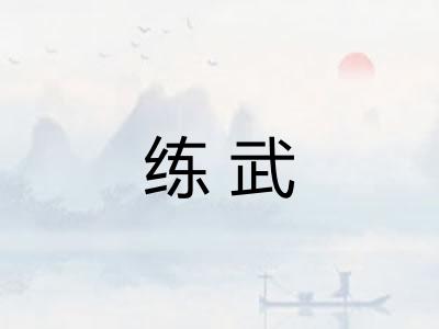 练武