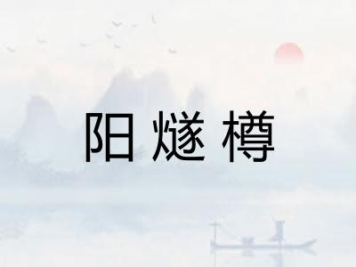 阳燧樽