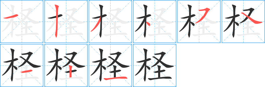 柽的笔顺分步演示图