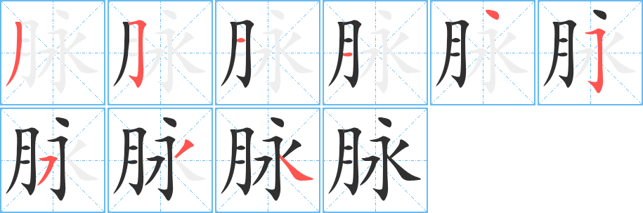 脉的笔顺分步演示图