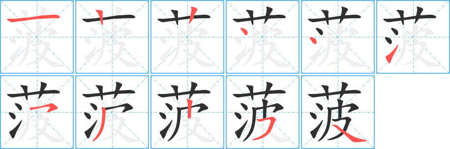 菠的笔顺分步演示图