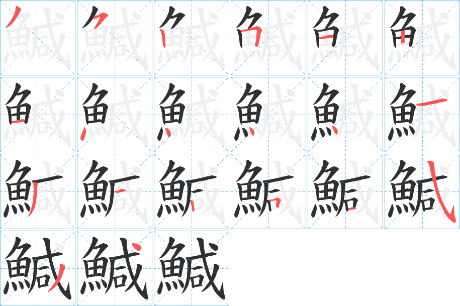 鰔的笔顺分步演示图