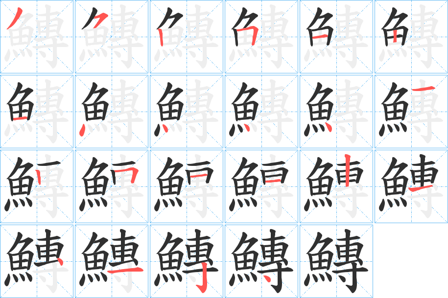 鱄的笔顺分步演示图