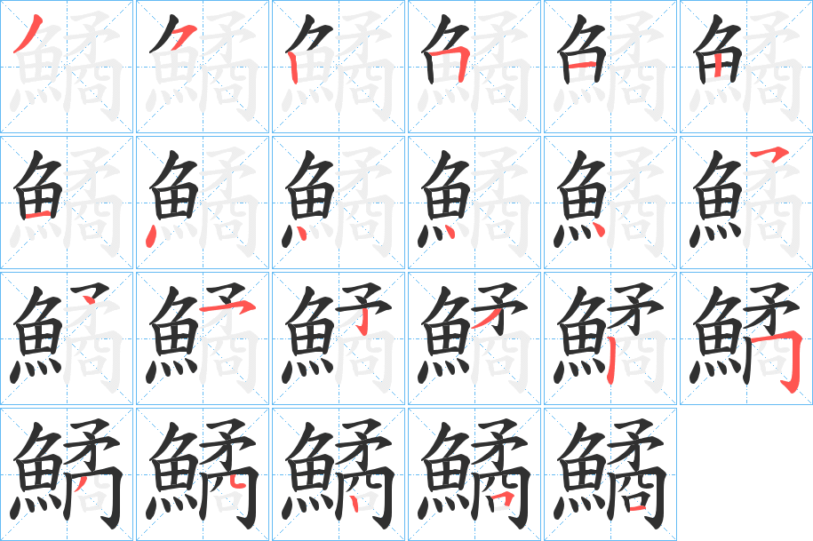 鱊的笔顺分步演示图