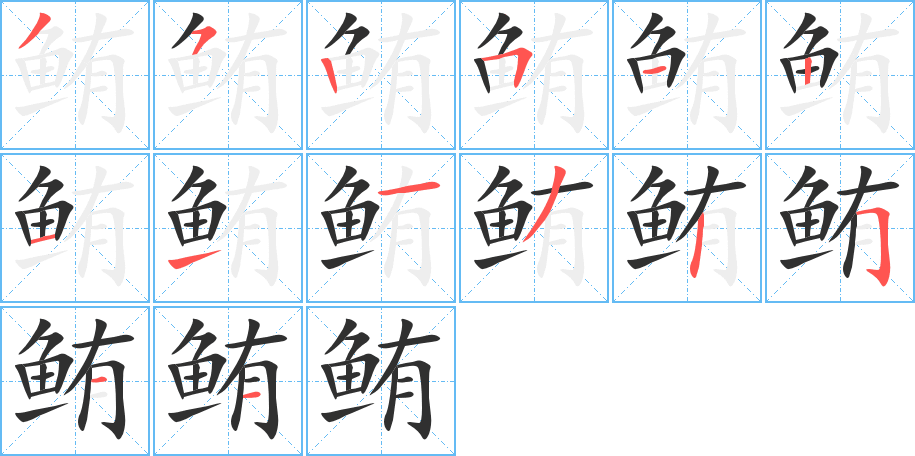 鲔的笔顺分步演示图