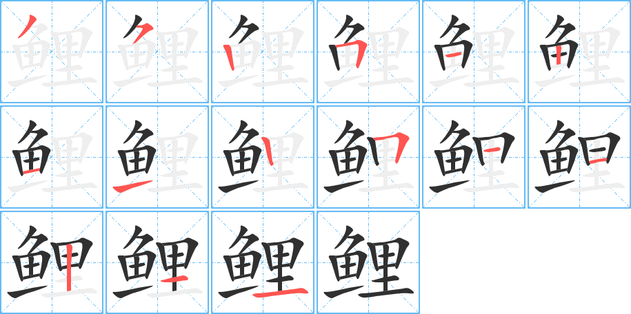 鲤的笔顺分步演示图