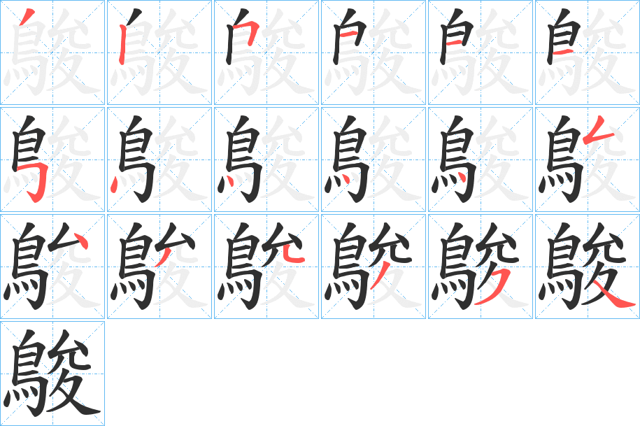 鵔的笔顺分步演示图