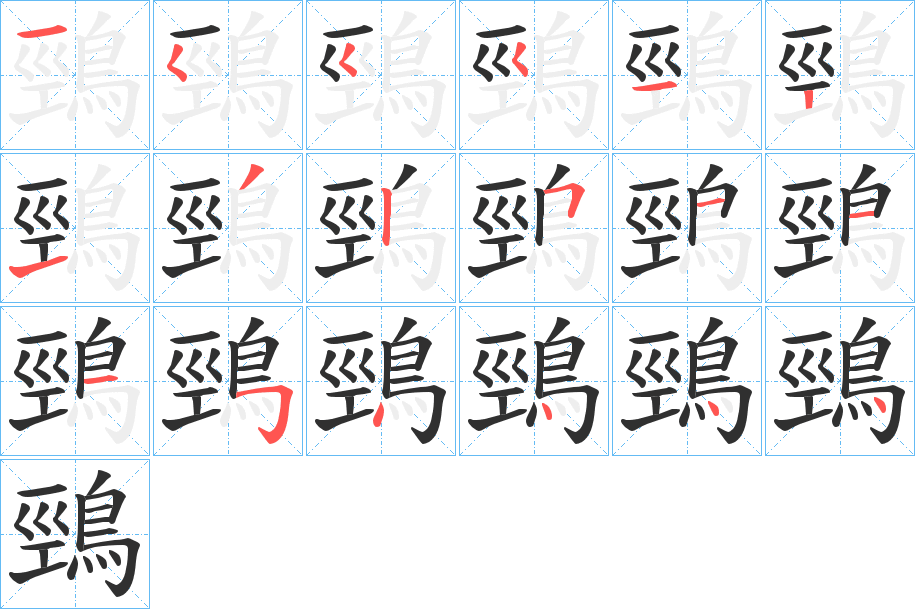 鵛的笔顺分步演示图